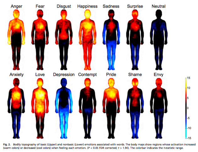 The Body's Physical Reactions to Emotions